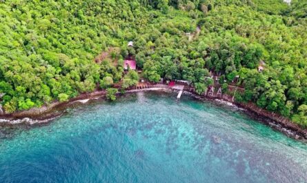 Küstennähe in der Türkei mit sanften Wellen und grüner Natur aus der Luft