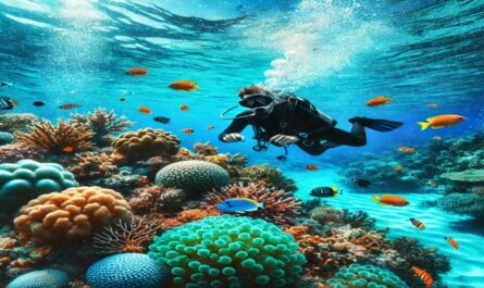 Experience the thrill of scuba diving in Turkey's clear waters, exploring vibrant coral reefs and colorful marine life for an unforgettable underwater adventure