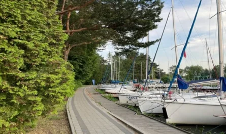 A row of white sailboats moored at a peaceful marina beside a tree-lined walking path