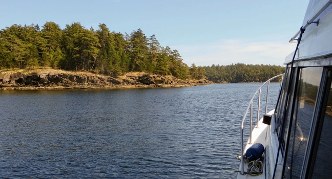 Bedeutung von Backbord und Steuerbord auf Booten Blick vom Boot auf eine Wasserstraße mit Ufer und Wald zur Erklärung von Backbord und Steuerbord