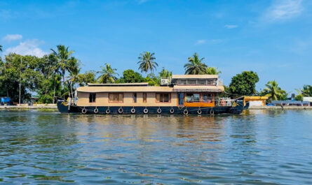 Holz-Hausboot auf einem ruhigen Wasserweg in Holland mit Palmen und blauem Himmel