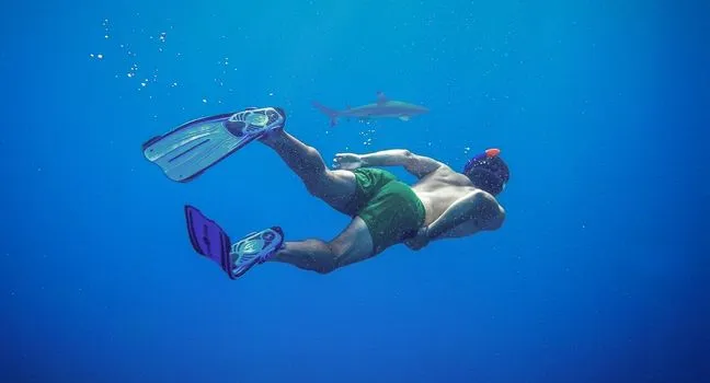 Schwimmer mit Flossen im offenen Wasser – sichere Schwimmregeln beachten