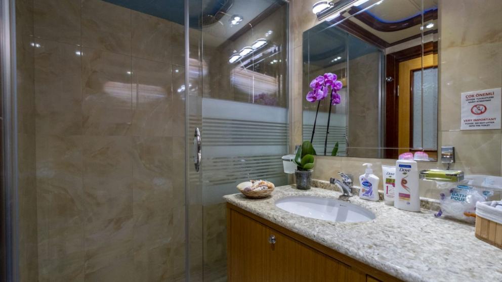 Bathroom with granite sink, orchid, and modern shower.