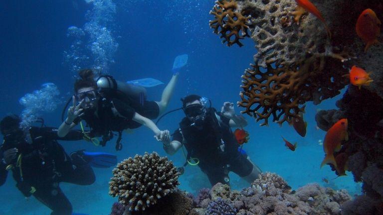 Diving In Turkey: The Most Popular Diving Destinations