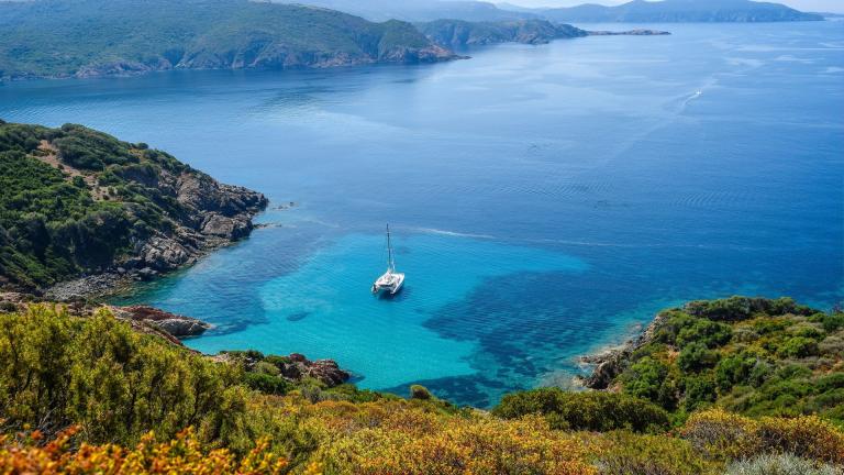 A catamaran boat floats in a rocky bay with flowering vegetation