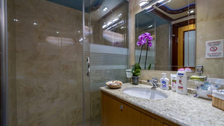 Bathroom with granite sink, orchid, and modern shower.