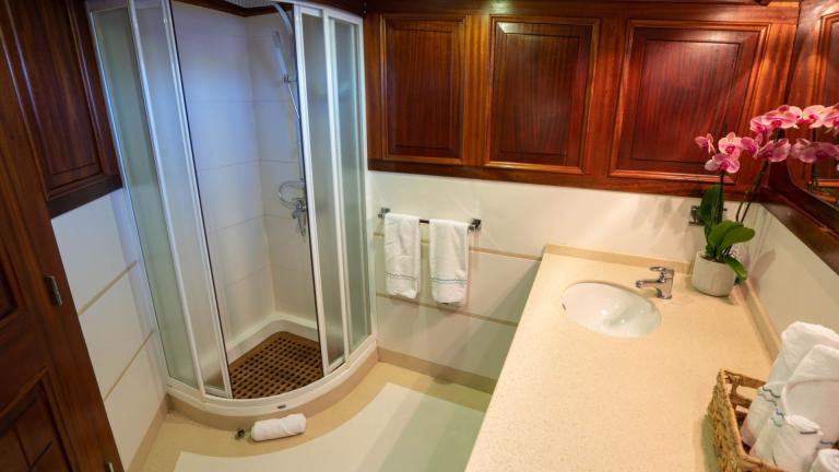 A modern bathroom on the Gulet Elianora with a shower cubicle, a large washbasin, elegant wooden walls and stylish detai