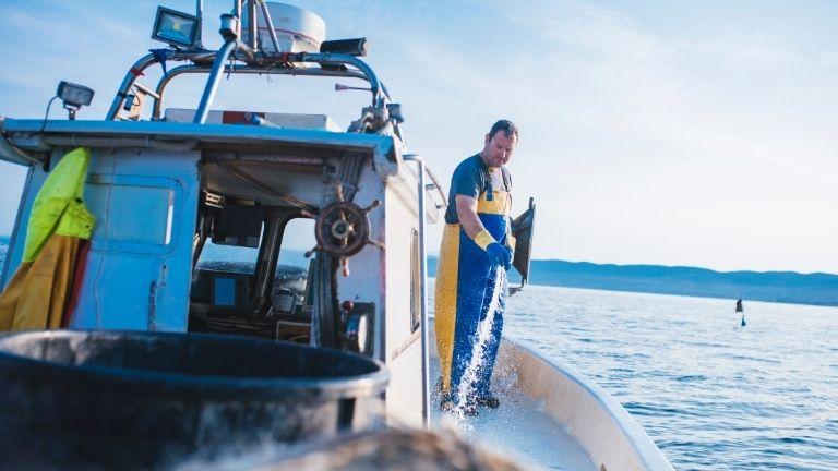 Boat Repair And Preparation For The Season