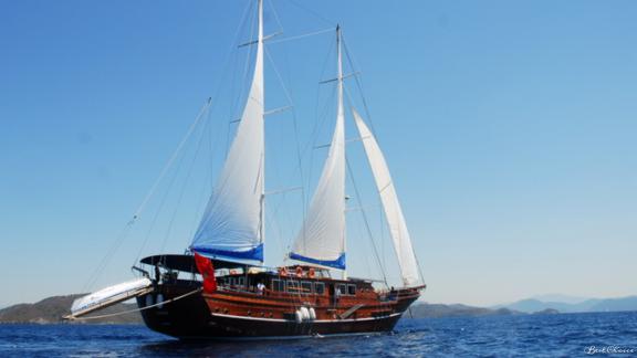 Segelabenteuer auf einer eleganten 8-Kabinen-Gulet in Marmaris. Ideal für Gruppenreisen auf dem türkisfarbenen Meer.