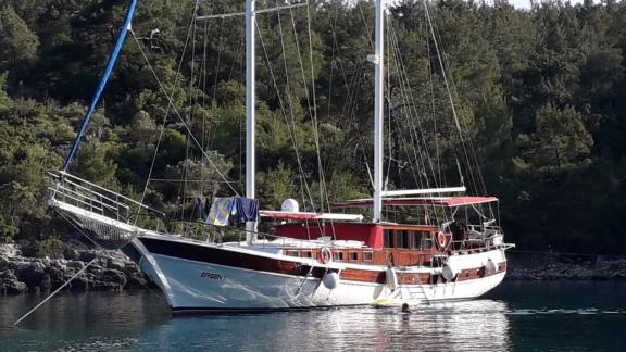 Die Gulet Erşen 1 liegt vor Anker in einer ruhigen, grünen Bucht in Bodrum, umgeben von Natur und klarem Wasser.