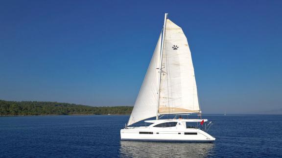 Moderner Katamaran mit gesetzten Segeln vor der grünen Küste Bodrums, ideal für Segelabenteuer