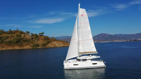 The Reina 1 catamaran is peacefully sailing on the sea with a green island in the background.