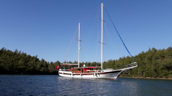 Die elegante Gulet Erşen 1 liegt vor Anker in einer ruhigen Bucht in Bodrum, umgeben von grüner Landschaft.