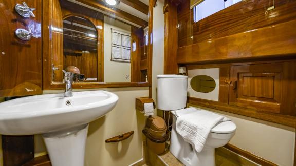 The bathroom features a sink, toilet, and mirrors, surrounded by wood paneling and windows.