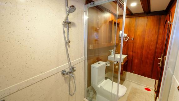 A modern bathroom on a yacht with a shower, toilet and washbasin.