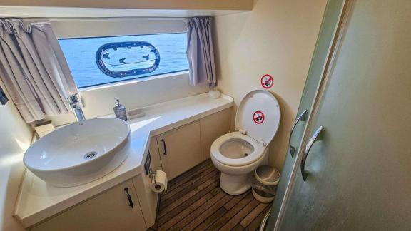 Moderne Nasszelle mit Toilette, Dusche und großem Fenster.