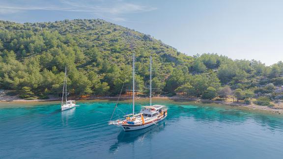 Die Gulet Blu Dream ankert in einer idyllischen Bucht mit klarem Wasser und grünen Hügeln.