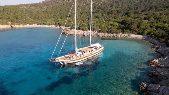 Die Gulet Caner 4 ankert in einer idyllischen Bucht bei Bodrum, umgeben von klarem Wasser und üppigem Grün.