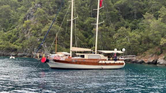 Gulet Cemre Mila off the Turkish coast, surrounded by turquoise waters and green forests.