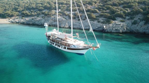 Explore the serene bays of Bodrum aboard the elegant Gulet Daphne S. Rent now!