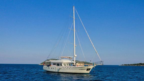 Elegant gulet Freedom sails on calm seas in front of a picturesque coastal landscape.