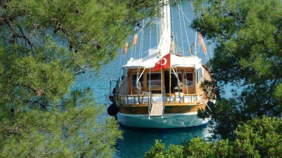 Die Gulet Miramare ankert friedlich in einer malerischen Bucht, umgeben von Pinien, ideal für bis zu 8 Personen.