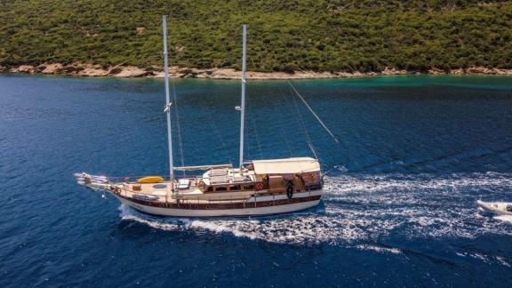 The 4-cabin Gulet Optimist sailing on clear blue waters along a green coastline in Bodrum.