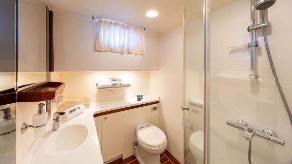 In Göcek gulet charter option Serenity 86 bathroom with shower cabin sink and clean bright interior visible.