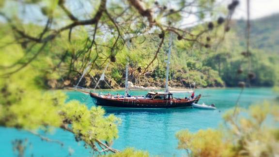 Discover Bodrum's hidden corners on our unique Gulet, nestled among lush greenery.