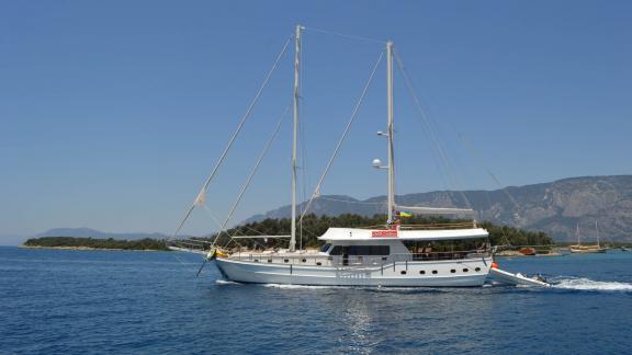 Ein weißes Segelboot, die Gulet Gül Sultan, fährt auf ruhigem blauen Wasser. Im Hintergrund sind eine grüne Insel und be