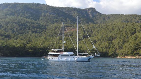 Die Gulet Gül Sultan, ein großes weißes Segelboot mit zwei Masten, fährt auf offenem Meer.