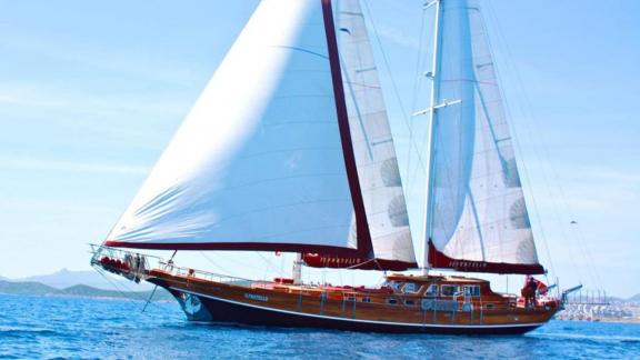 The Turkish gulet Il Fratello with full white sails sailing on the open sea, with the coastline visible in the backgroun