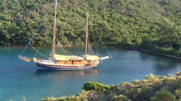 Gulet Myra ile Bodrum'un sakin bir koyunda doğanın huzur ve güzelliğini yaşayın.