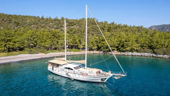 A Bodrum gulet with 5 cabins anchors in calm, clear water off a wooded coast.