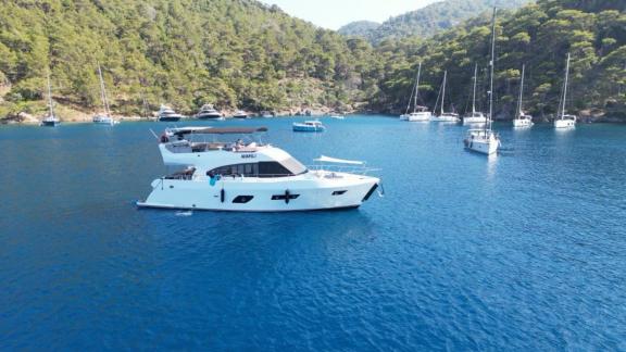 Motor yacht Serpil D is anchored in a wooded bay, surrounded by other boats.