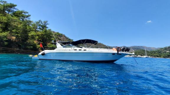 Motoryacht Liberta liegt vor Anker im blauen Wasser, umgeben von einer grünen Bucht.