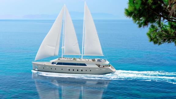 Sailing yacht with white sails on clear blue sea, tree in foreground.