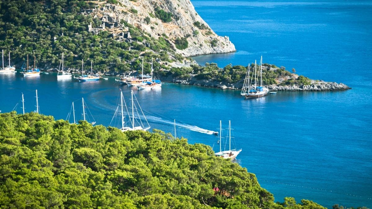 Verschiedene Yachten und Segelboote ankern in einer grünen Bucht mit klarem, blauem Wasser in Fethiye, Türkei