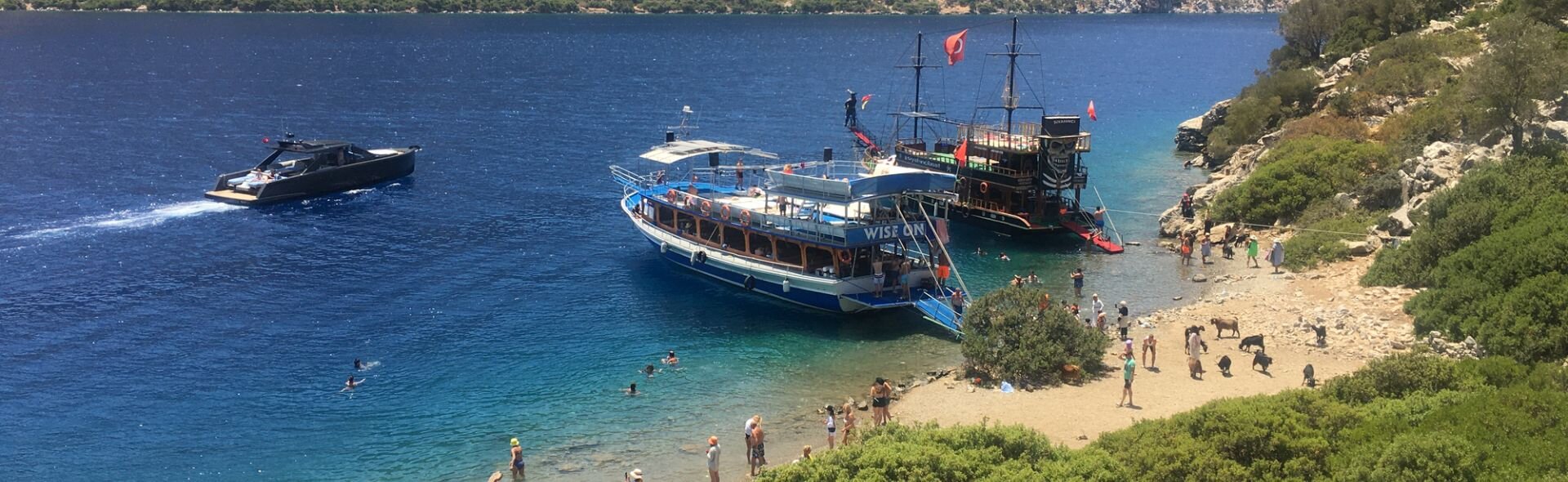 Гулеты и мотояхта у пляжа с козами и купающимися