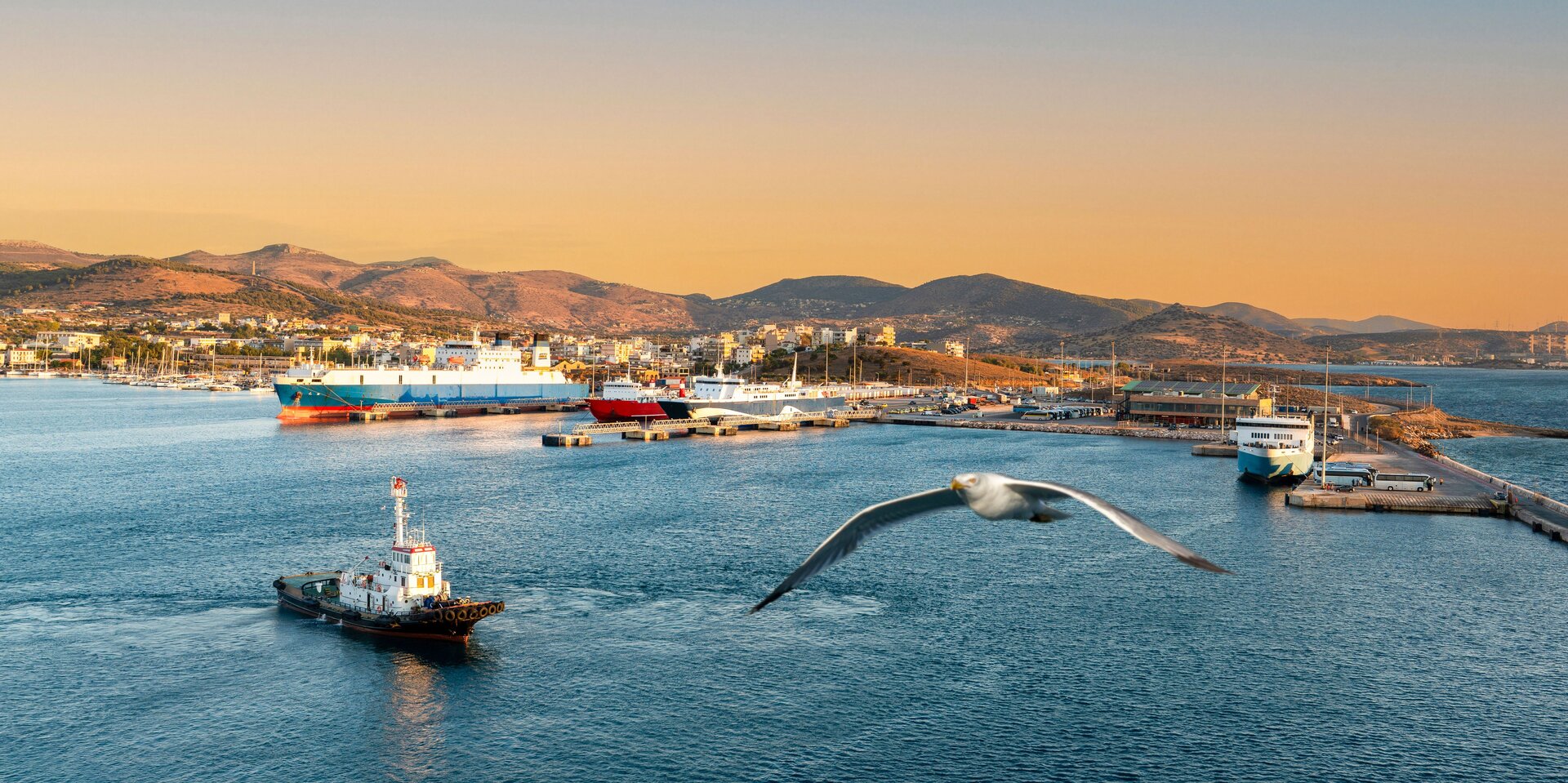 A seagull soaring over the harbor at sunset, providing a beautiful backdrop for your next yacht charter lavrion